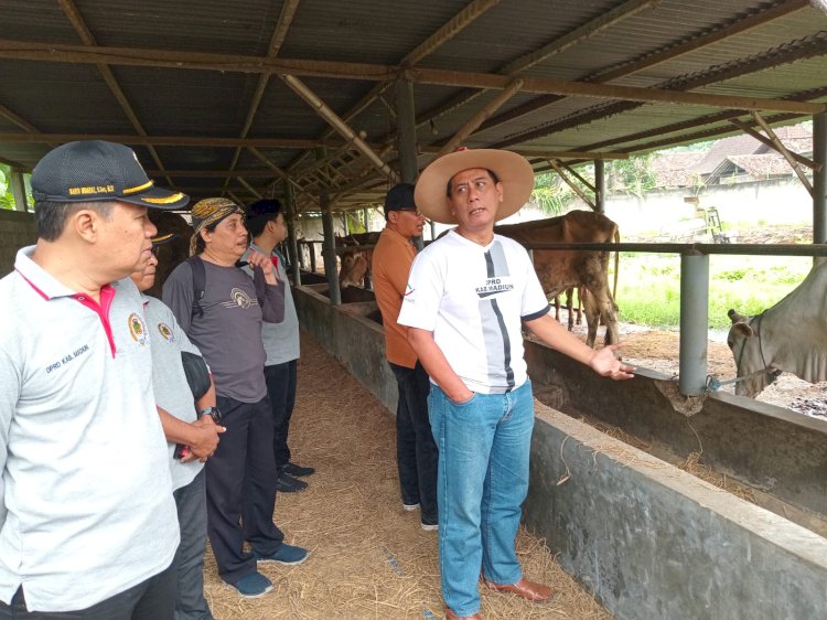 Anggota komisi B DPRD Madiun saat sidak ke peternakan sapi di desa Mojorejo kecamatan Kebonsari/RMOLJatim