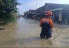 97 Hektar Sawah dan Ratusan Rumah di Gresik Terendam Banjir