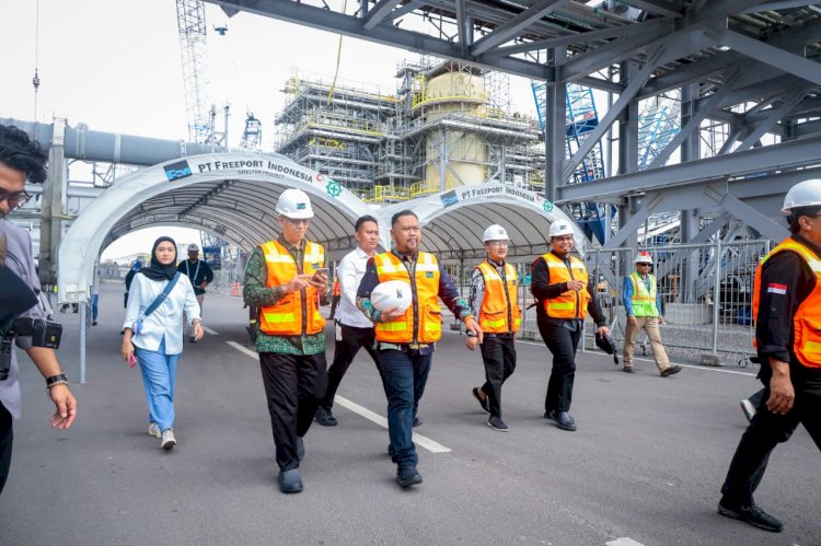 Komisi VII DPR RI saat melakukan lawatan ke PT Freeport Indonesia yang berada di Kawasan Ekonomi Khusus (KEK) Java Integrated Industrial and Port Estate (JIIPE) Manyar Gresik/Ist