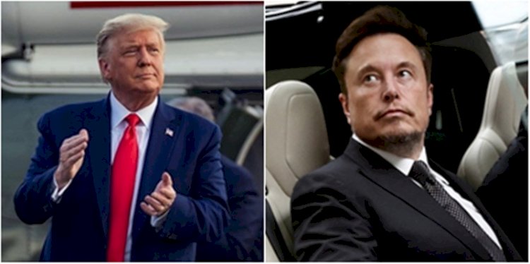 Kolase foto Donald Trump dan Elon Musk/RMOL