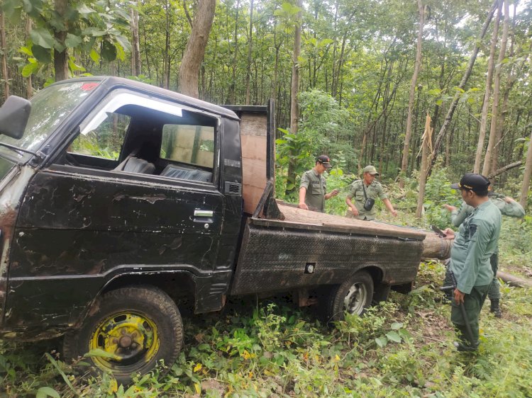 Mobil pick up yang diamankan Polhut KPH Madiun. Diduga komplotan kawakan mulai beraksi/ist