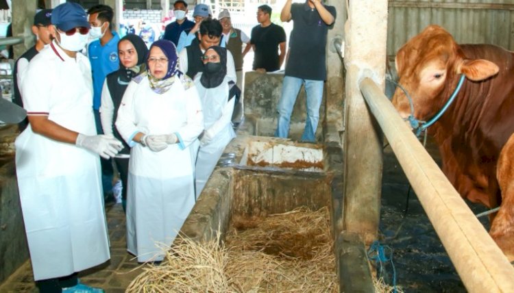 Bupati Yuhronur Effendi didampingi Kepala Disnakeswan Shofia Nur Hayati saat meninjau vaksin mandiri 10 Januari lalu/ist