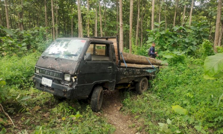 Mobil pick up milik pelaku pembalak liar yang ditinggalkan di lokasi kejadian/ist