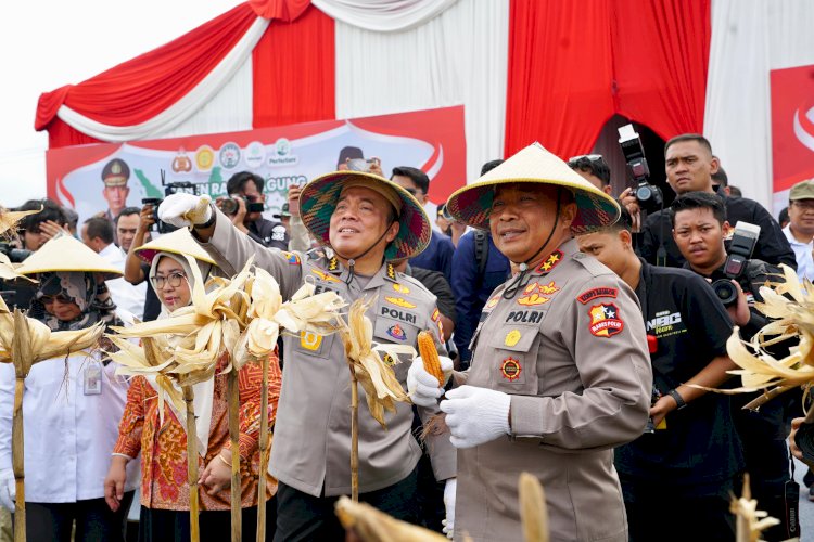 Inspektur Pengawasan Umum (Irwasum) Polri, Komjen Pol. Dedi Prasetyo, yang didaulat memimpin acara panen raya jagung di kabupaten Madiun/ist.