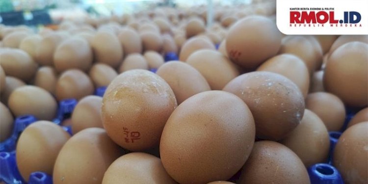 Produksi telur Indonesia tengah mengalami surplus/RMOL