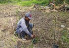 Dukung Hutan Energi, Paiton Energy Tanam Lebih 25 Ribu Pohon Gamal