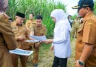 Gubernur Khofifah Pastikan Lahan 9,7 Hektare di Malang Siap untuk Sekolah Rakyat Standar Internasional