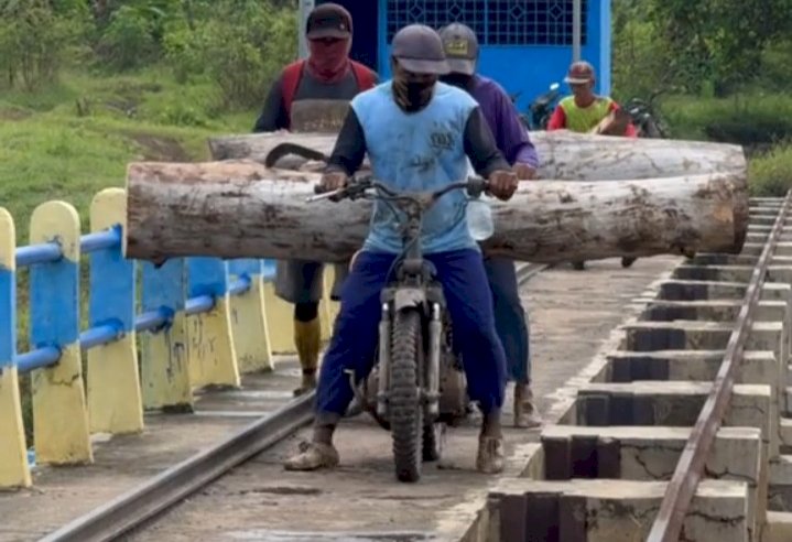 Beberapa orang diduga mengangkut kayu ilegal di Madiun/Ist