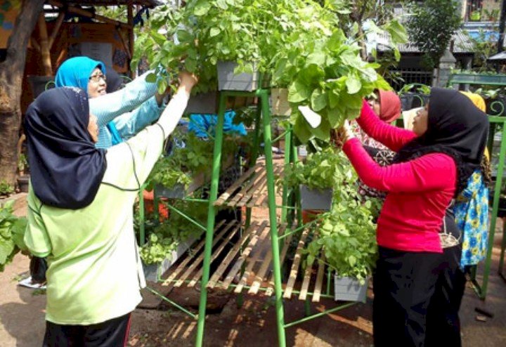 warga Gresik hijaukan lingkungan dengan tanaman herbal / ist 