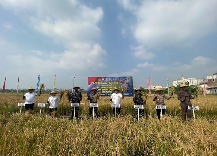 Panen padi di Surabaya/RMOLJatim