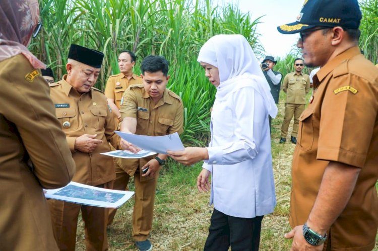 Khofifah saat meninjau lahan pembangunan Sekolah Rakyat di Malang/Ist
