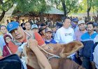 Jelang Idul Adha 2025, Bupati Situbondo Pantau Harga Ternak di Pasar Hewan Sabtoan
