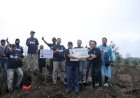 Bantu Budidaya untuk Masyarakat Glenmore, Bank Taspen Mandiri Tanam 250 Bibit Alpukat Aligator