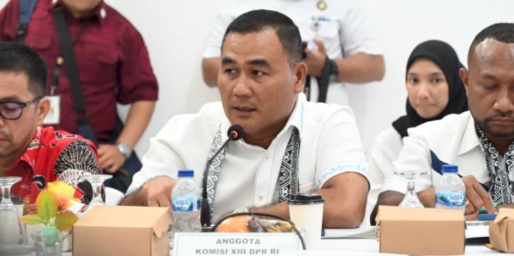 Anggota Badan Legislasi Dewan Perwakilan Rakyat (Baleg DPR), Edison Sitorus/Ist
