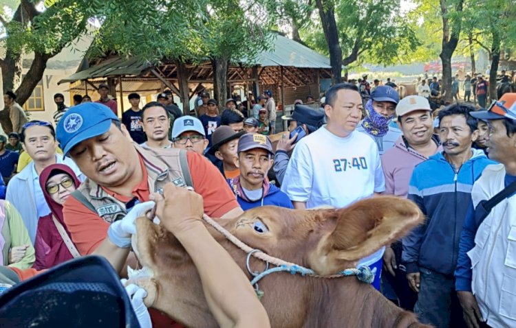 Bupati Situbondo Yusuf Rio Wahyu Prayogo saat blusukan di Pasar Hewan Sabtoan/Ist