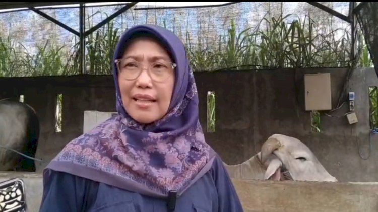 Foto : Plt Kepala Dinas Ketahanan Pangan dan Peternakan Kabupaten Kediri Tutik Purwaningsih   
