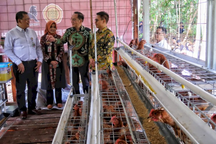 Bantuan untuk para disabilitas di bidang peternakan 
