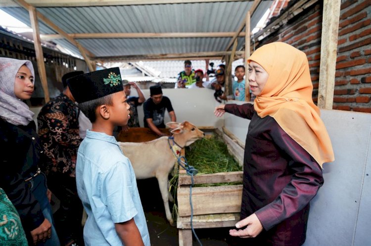 Gubernur Khofifah / ist