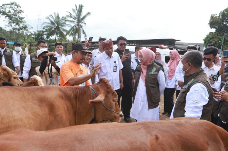 Bupati Banyuwangi Ipuk Fiestiandani didampingi pejabat dinas terkait mengecek kesehatan hewan serta stok ternak/Humas Pemkab Bwi