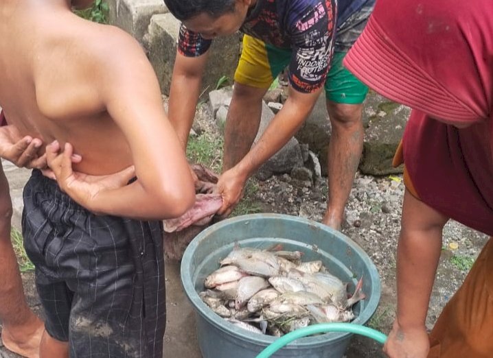 Teks foto: Warga menangkap ikan mati yang sudah mengambang/ist
