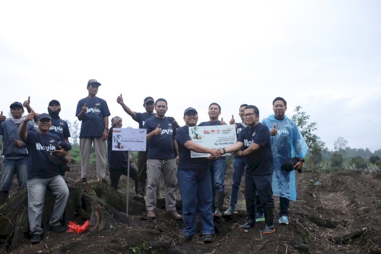 Penanaman alpukat Aligator di Banyuwangi 
